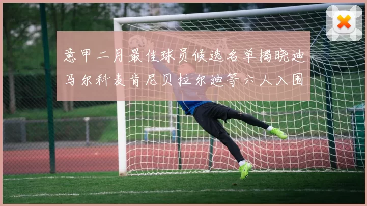 意甲二月最佳球员候选名单揭晓迪马尔科麦肯尼贝拉尔迪等六人入围