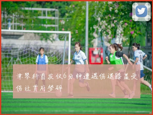 津琴科首发仅6分钟遭遇伤退膝盖受伤让贾府梦碎